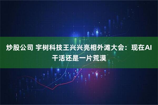 炒股公司 宇树科技王兴兴亮相外滩大会：现在AI干活还是一片荒漠
