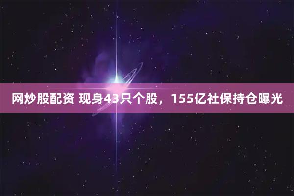 网炒股配资 现身43只个股，155亿社保持仓曝光