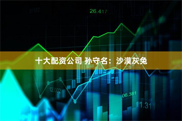 十大配资公司 孙守名：沙漠灰兔